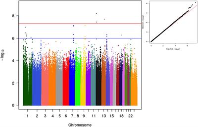 Genome-Wide Association of Proprotein Convertase Subtilisin/Kexin Type 9 Plasma Levels in the ELSA-Brasil Study